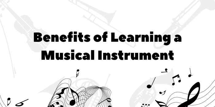 Benefits of Learning a Musical Instrument