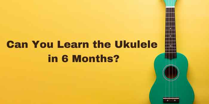 Can I Learn the Ukulele in 6 Months?
