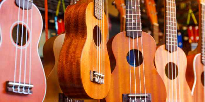 A Beginner's Guide to Playing the Ukulele