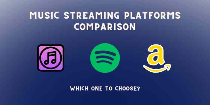 Music Streaming Platforms Comparison